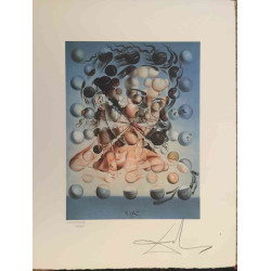 Salvador Dalí Litografía off set 50x65 cm certificado