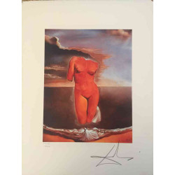 Salvador Dali Lithografie off set 50x65 cm gecertificeerd