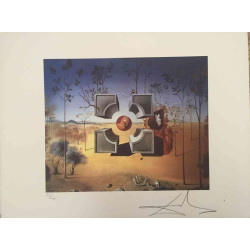Litografía Salvador Dali off set 50x65 cm certificada