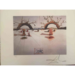 Litografía Salvador Dali off set 50x65 cm certificada