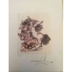 Salvador Dali Lithografie off set 50x65 cm gecertificeerd