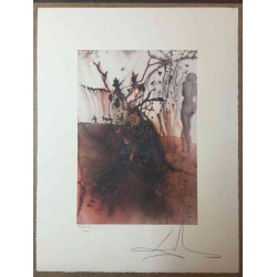 Salvador Dali Lithografie off set 50x65 cm gecertificeerd