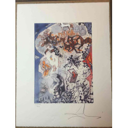Salvador Dali Lithographie Offset 50x65 cm zertifiziert