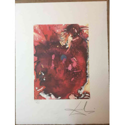 Litografia Salvador Dali off set 50x65 cm certificada