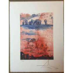 Salvador Dali Litografia off set cm 50x65   certificata