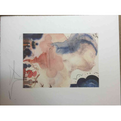 Litografická súprava Salvador Dali certifikovaná 50x65 cm