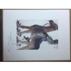 Salvador Dali Litografia off set cm 50x65   certificata