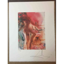 Salvador Dali Off set lithograph cm 50x65 certified