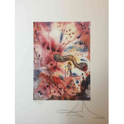 Litografía Salvador Dali off set 50x65 cm certificada