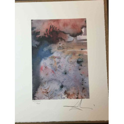 Salvador Dali Lithografie off set 50x65 cm gecertificeerd