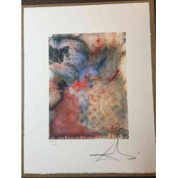 Litografická sada Salvador Dali s certifikací 50x65 cm