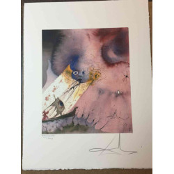 Offset litograficzny Salvadora Dali z certyfikatem 50x65 cm