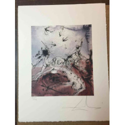 Salvador Dali 50x65 cm-ko litografia-sorta ziurtatua