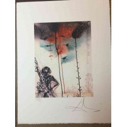 Salvador Dali Lithographie Offset 50x65 cm zertifiziert
