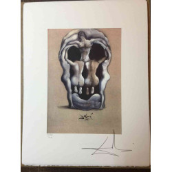 Salvador Dali Off set lithograph cm 50x65 certified