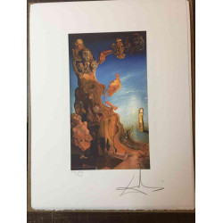 Salvador Dali Lithografie off set 50x65 cm gecertificeerd