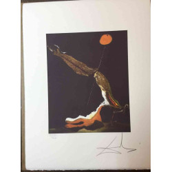 Salvador Dali Lithographie Offset 50x65 cm zertifiziert