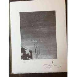 Salvador Dali Litografia off set cm 50x65   certificata