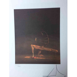 Conjunt de litografia de Salvador Dalí 50x65 cm certificat