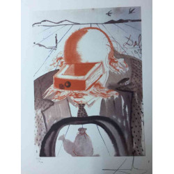 Salvador Dali Lithographie Offset 50x65 cm zertifiziert