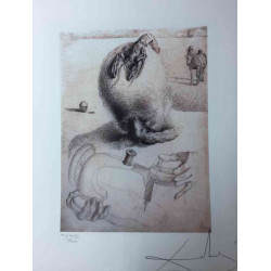 Setul de litografie Salvador Dali 50x65 cm certificat