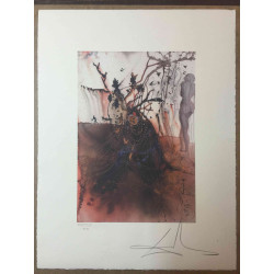 Salvador Dali Off set lithograph cm 50x65 certified
