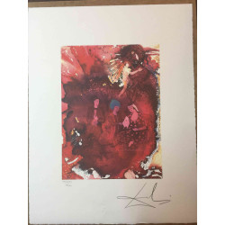Litografická súprava Salvador Dali certifikovaná 50x65 cm