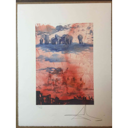 Conjunt de litografia de Salvador Dalí 50x65 cm certificat