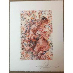 Salvador Dali Lithografie off set 50x65 cm gecertificeerd