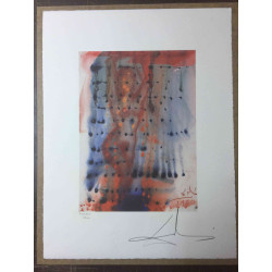 Salvador Dali Lithografie off set 50x65 cm gecertificeerd