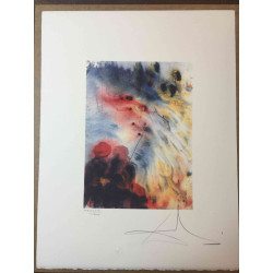 Litografická sada Salvador Dali s certifikací 50x65 cm