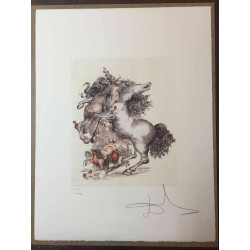 Salvador Dali Litografia off set cm 50x65   certificata
