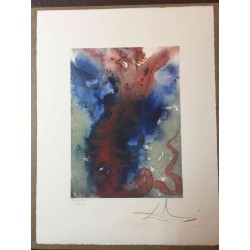 Offset litograficzny Salvadora Dali z certyfikatem 50x65 cm