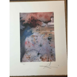 Salvador Dali Lithografie off set 50x65 cm gecertificeerd