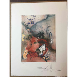 Salvador Dali Litografia off set cm 50x65   certificata