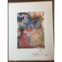 Salvador Dali Lithografie off set 50x65 cm gecertificeerd