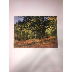 Set de litografías de Claude Monet 50x70 cm