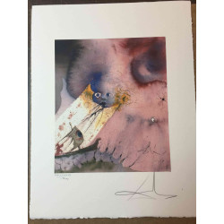 Offset litograficzny Salvadora Dali z certyfikatem 50x65 cm