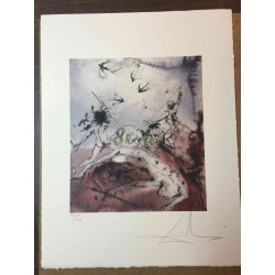 Salvador Dali Off set lithograph cm 50x65 certified