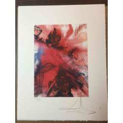 Litografická súprava Salvador Dali certifikovaná 50x65 cm