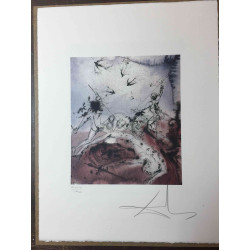 Salvador Dali Lithographie Offset 50x65 cm zertifiziert