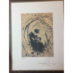 Litografická sada Salvador Dali s certifikací 50x65 cm