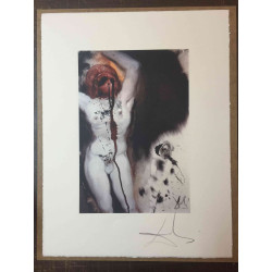 Salvador Dali Lithografie off set 50x65 cm gecertificeerd