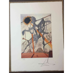 Salvador Dali Lithografie off set 50x65 cm gecertificeerd