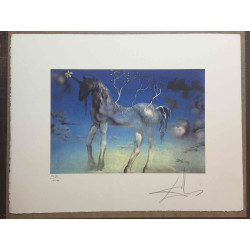Litografická súprava Salvador Dali certifikovaná 50x65 cm
