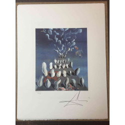 Salvador Dali 50x65 cm-ko litografia-sorta ziurtatua