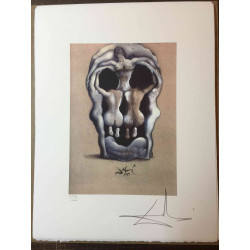 Litografická súprava Salvador Dali certifikovaná 50x65 cm