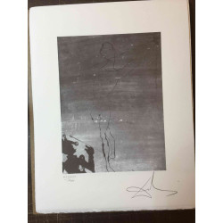Salvador Dali Litografia off set cm 50x65   certificata