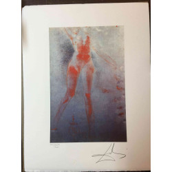 Setul de litografie Salvador Dali 50x65 cm certificat