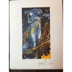 Salvador Dali Lithografie off set 50x65 cm gecertificeerd
